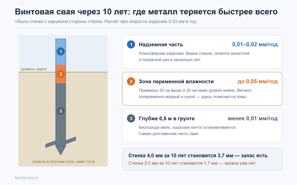 Схема: где винтовая свая ржавеет быстрее всего и какой остаётся толщина стенки через 10 лет